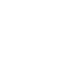 Opportunity Icon